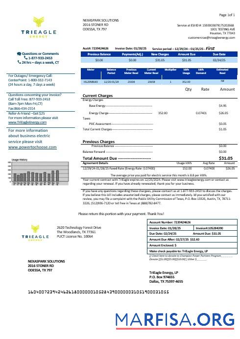 Blank USA Texas TriEagle business utility bill template in Word and PDF formats